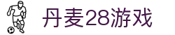 丹麦28游戏